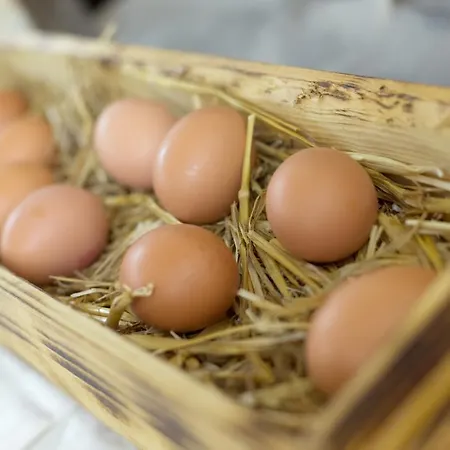 Stockholm Отель